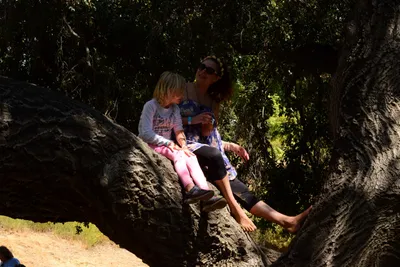 DSC_2103 (Large).JPG